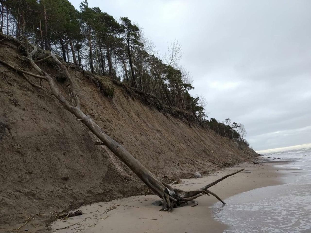Yzzi Apartman Palanga Kültér fotó